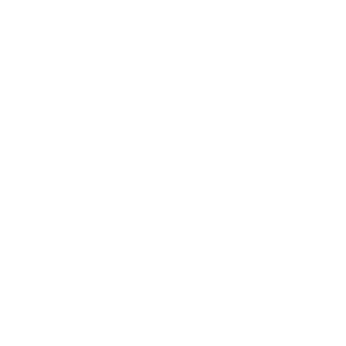 Petriya's Wonders